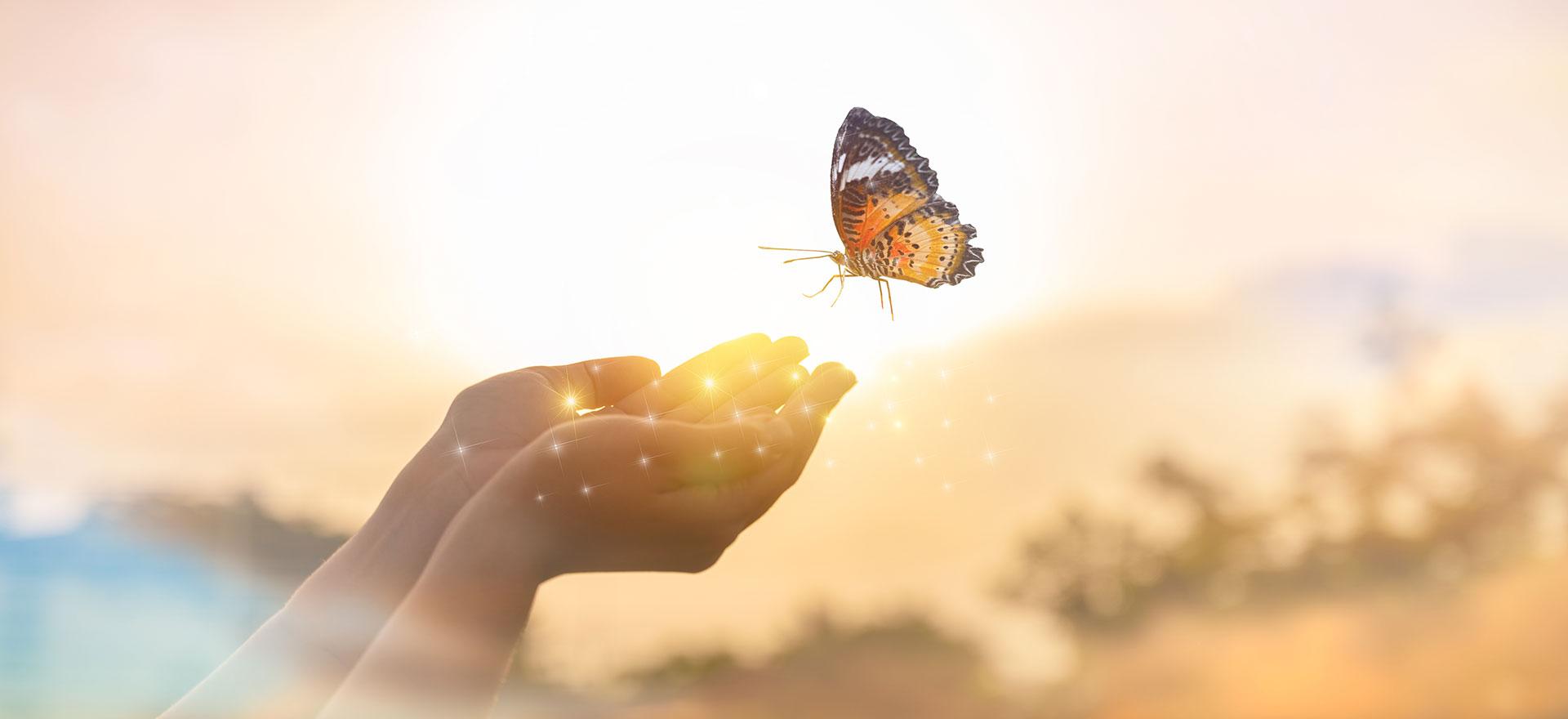 verlustbewaeltigung banner