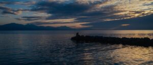 Eine einzelne weiße Blume auf der Wasseroberfläche eines ruhigen Meeres bei Sonnenuntergang